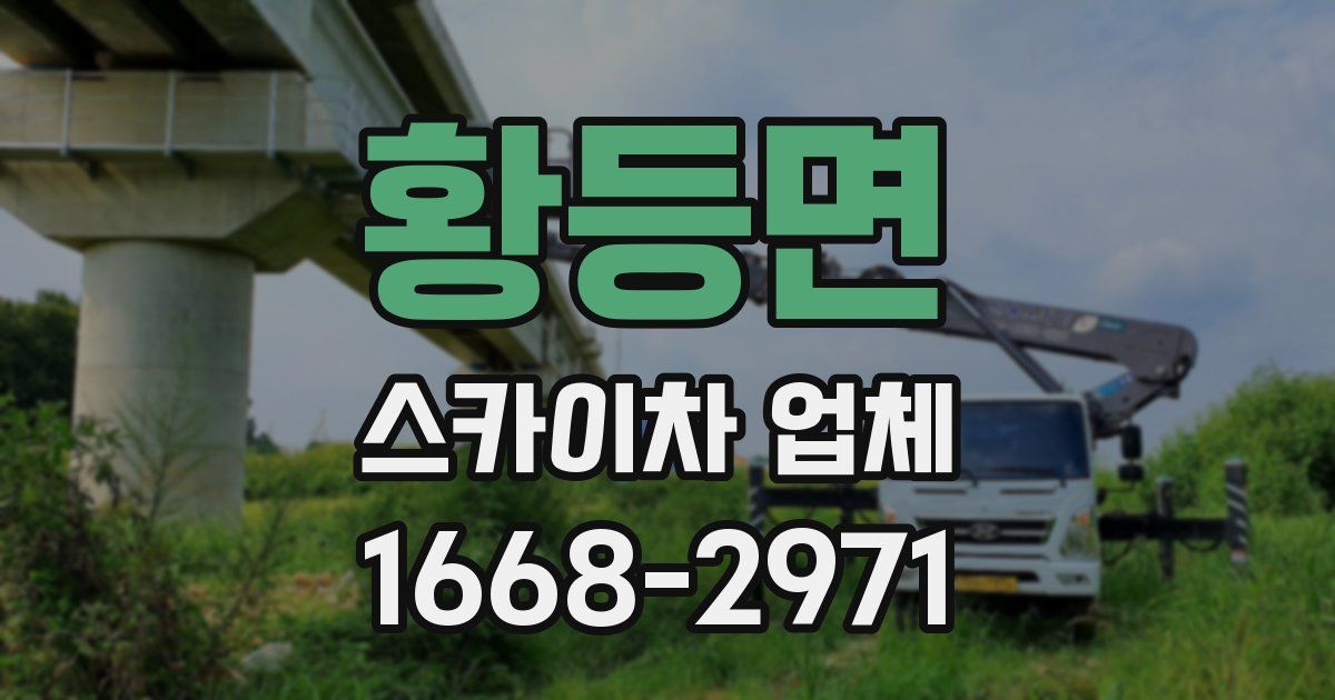 황등면 스카이차 업체