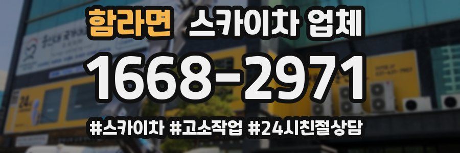 함라면 스카이차 업체