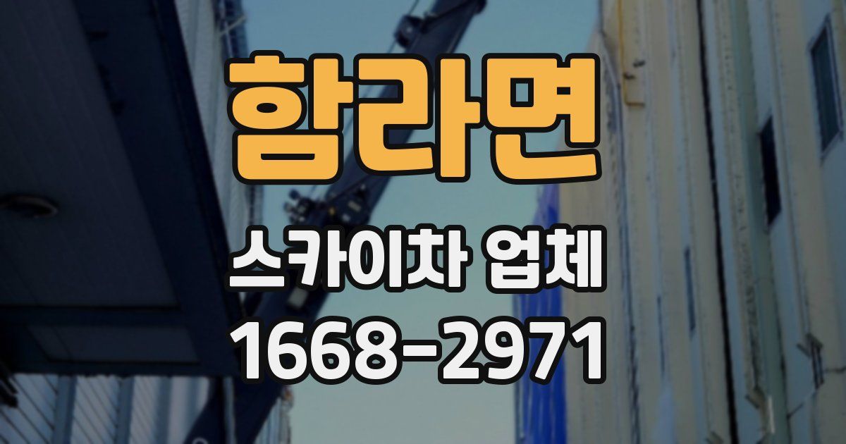 함라면 스카이차 업체