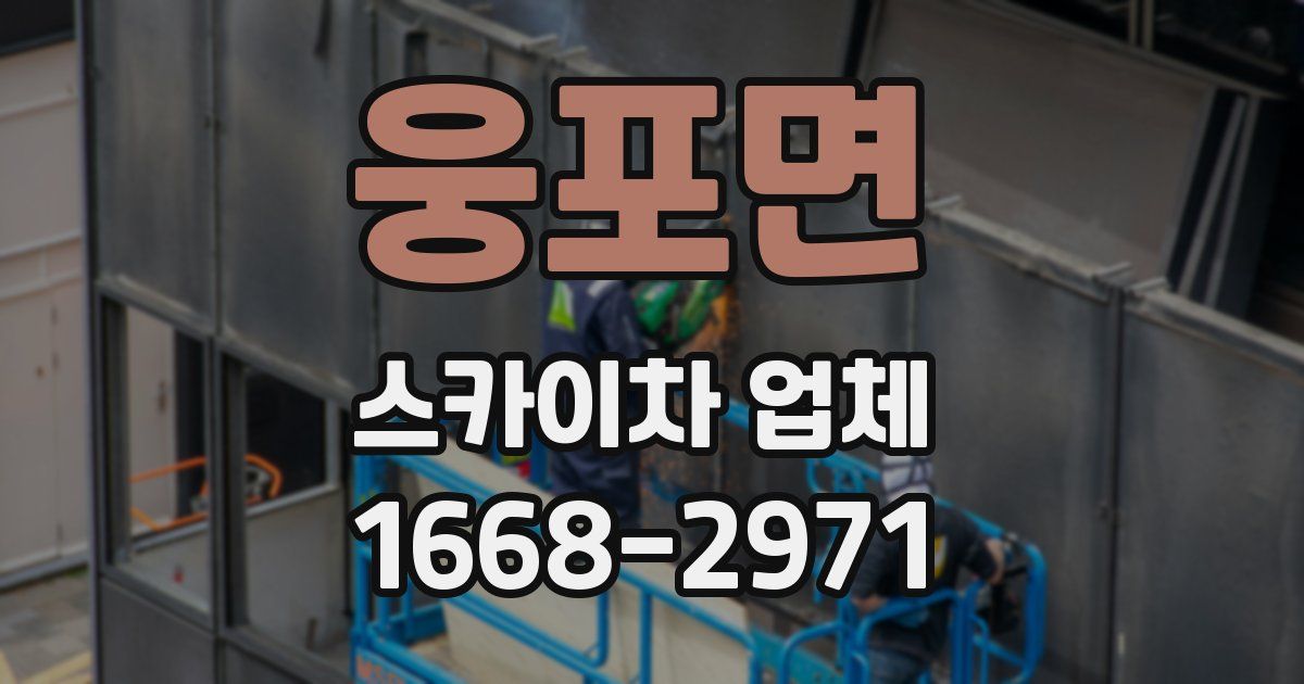 웅포면 스카이차 업체