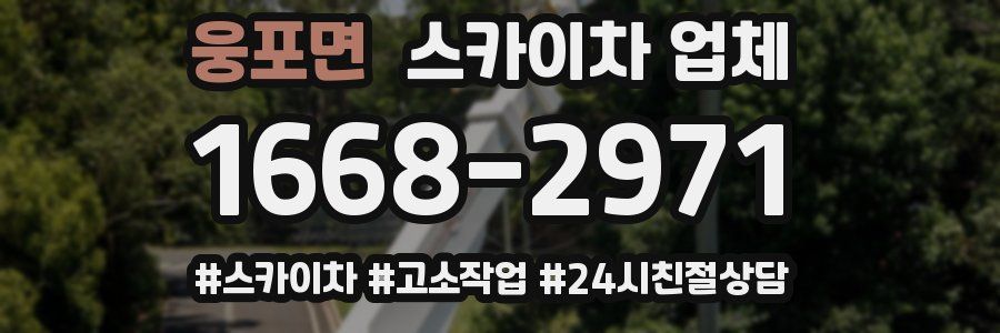 웅포면 스카이차 업체