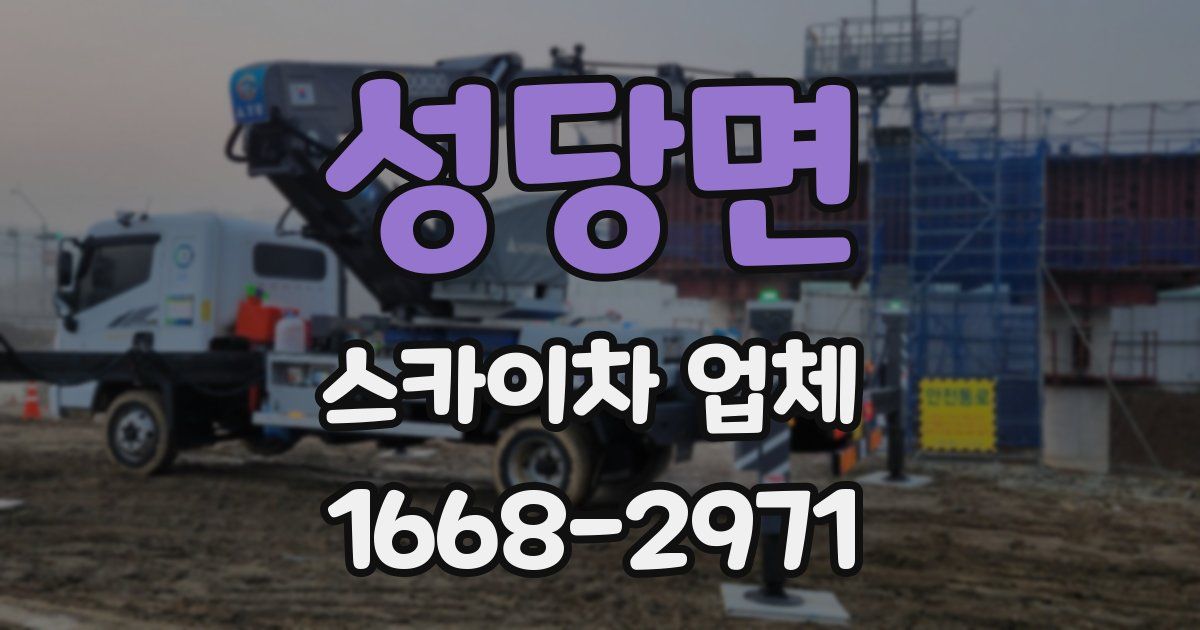 성당면 스카이차 업체