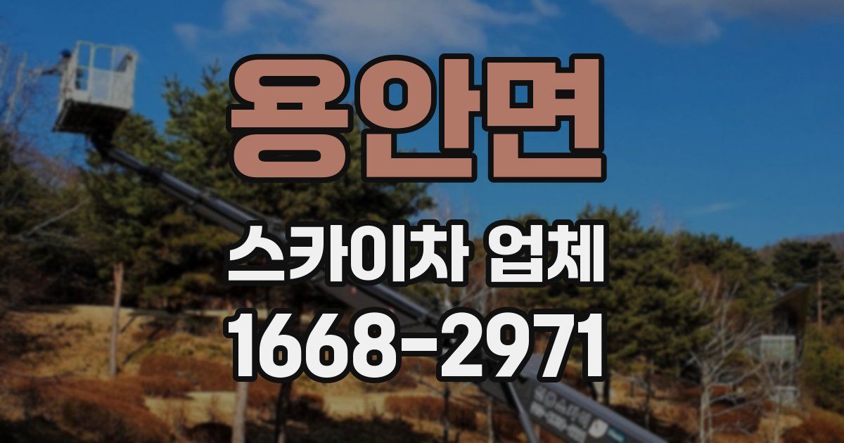 용안면 스카이차 업체