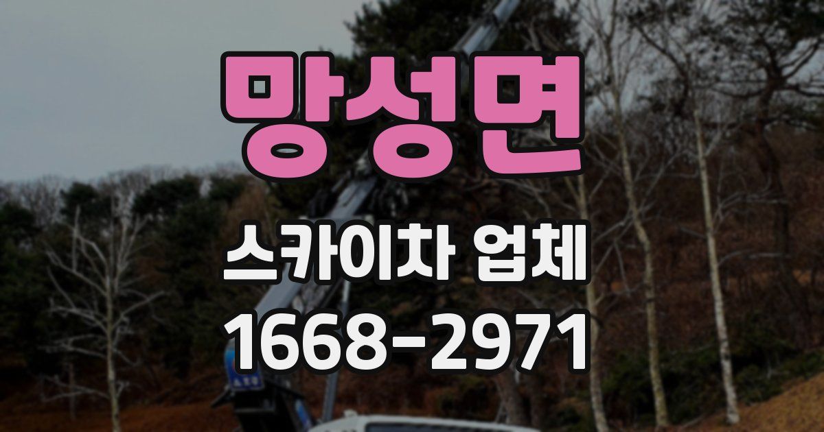 망성면 스카이차 업체