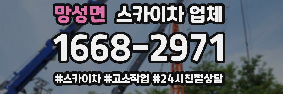 망성면 스카이차 업체