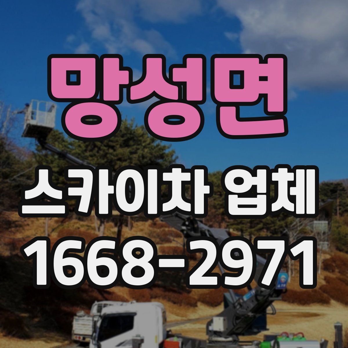 망성면 스카이차 업체