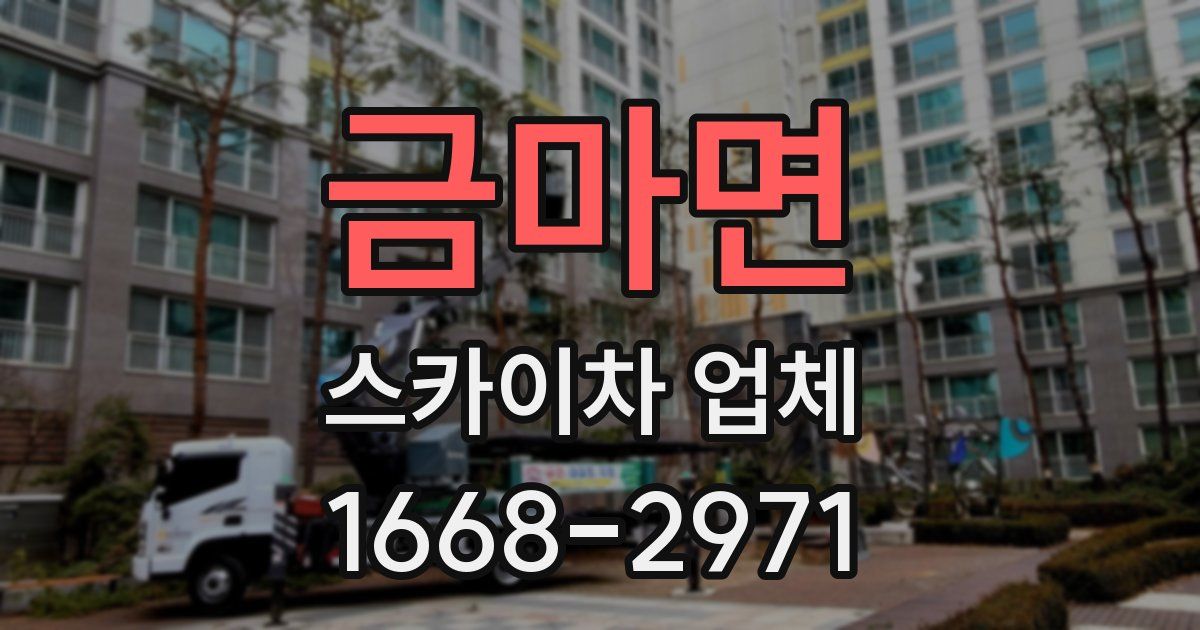 금마면 스카이차 업체