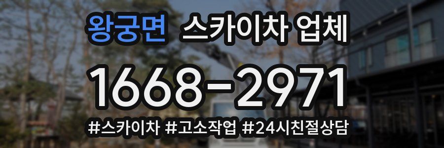 왕궁면 스카이차 업체