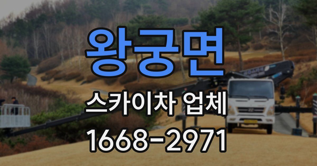 왕궁면 스카이차 업체