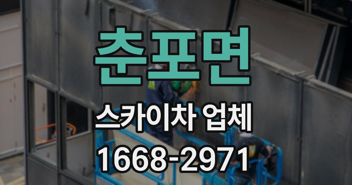 춘포면 스카이차 업체