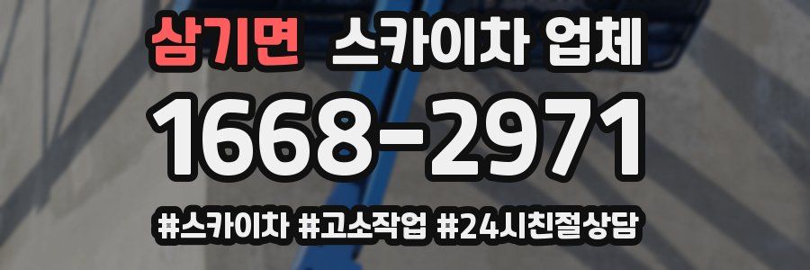 삼기면 스카이차 업체