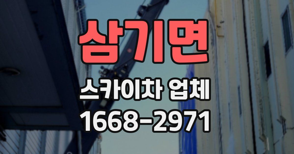 삼기면 스카이차 업체