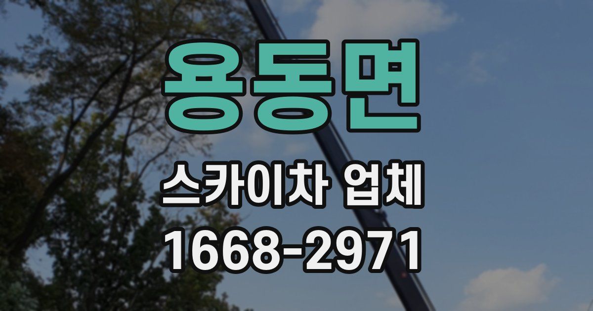 용동면 스카이차 업체