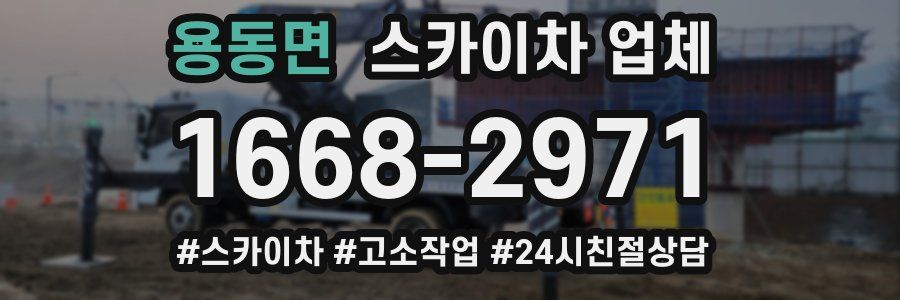 용동면 스카이차 업체