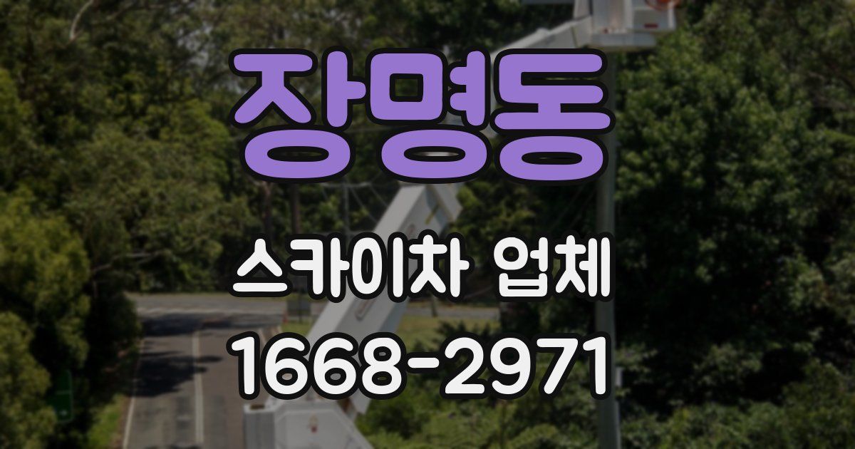 장명동 스카이차 업체