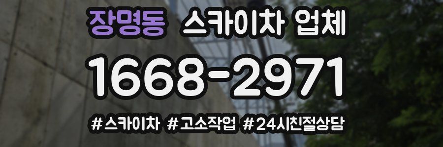 장명동 스카이차 업체