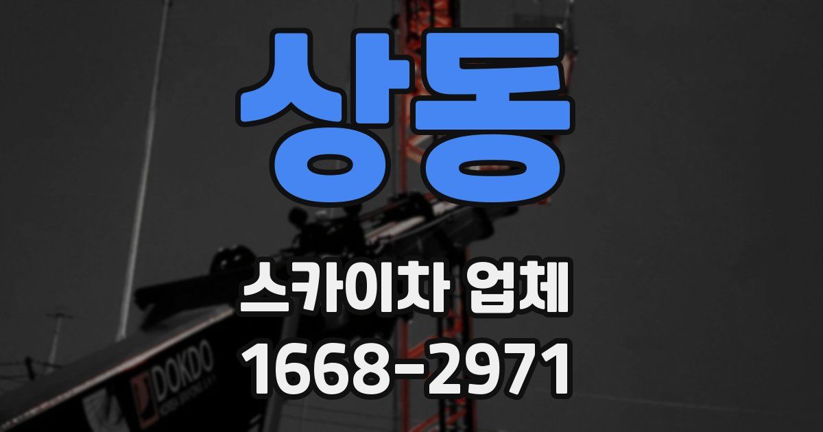 상동 스카이차 업체