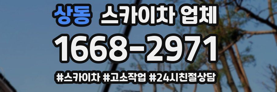 상동 스카이차 업체