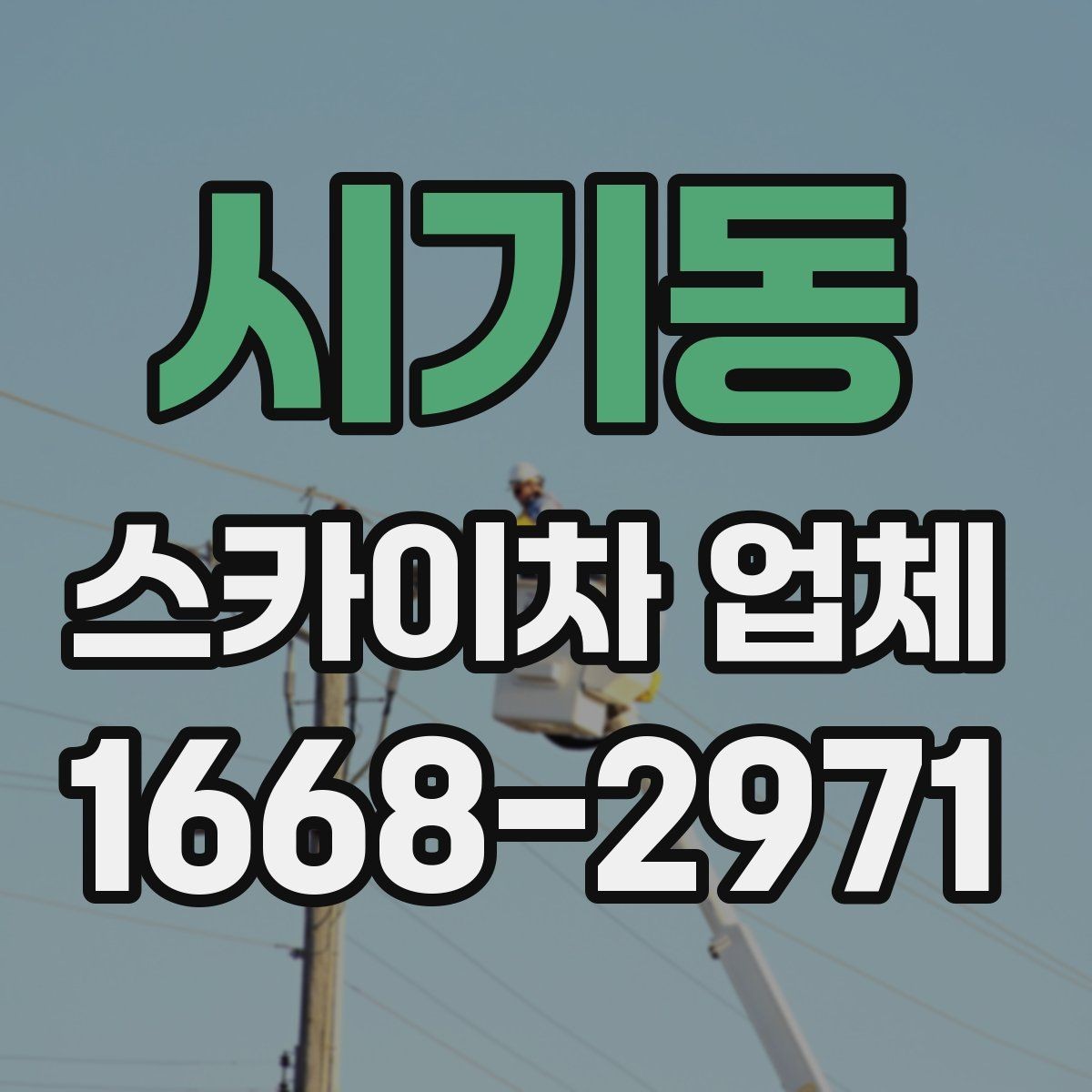시기동 스카이차 업체 선택과정에서 놓치면 안 되는 부분
