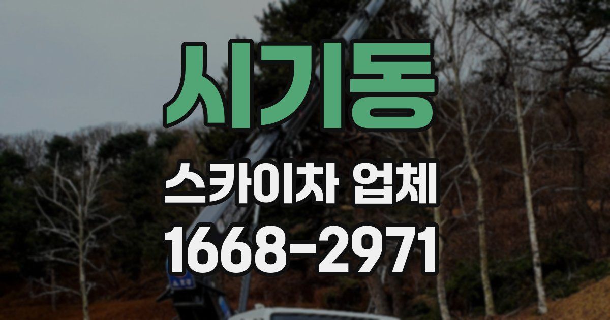 시기동 스카이차 업체