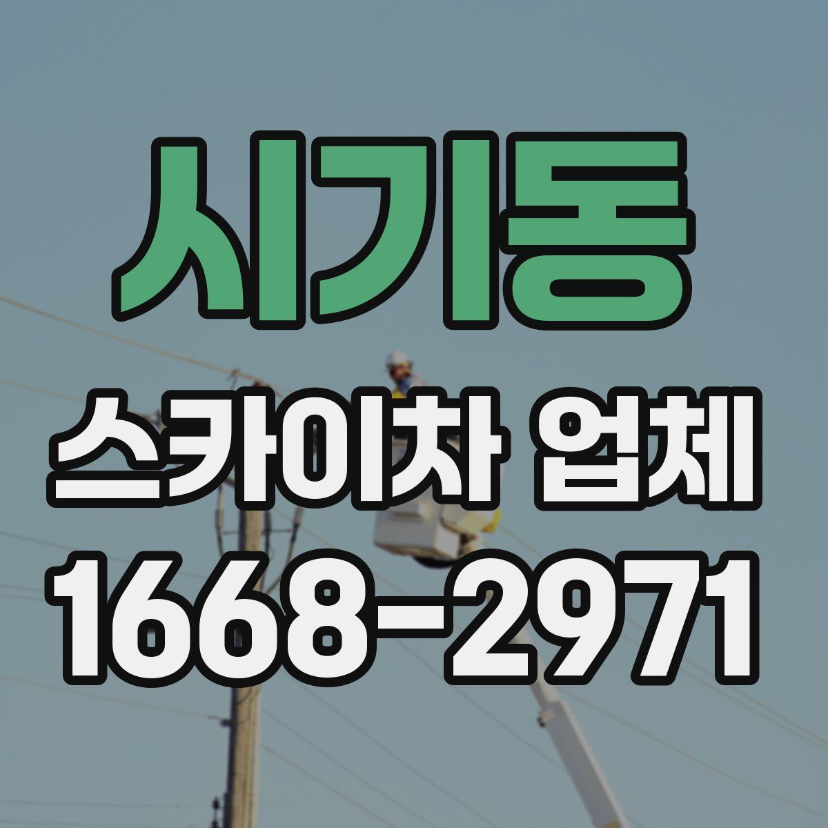 시기동 스카이차 업체