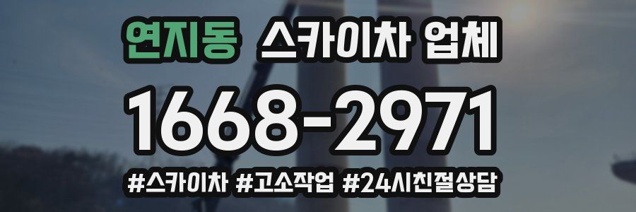 연지동 스카이차 업체