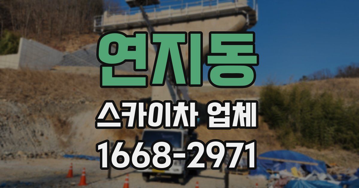 연지동 스카이차 업체