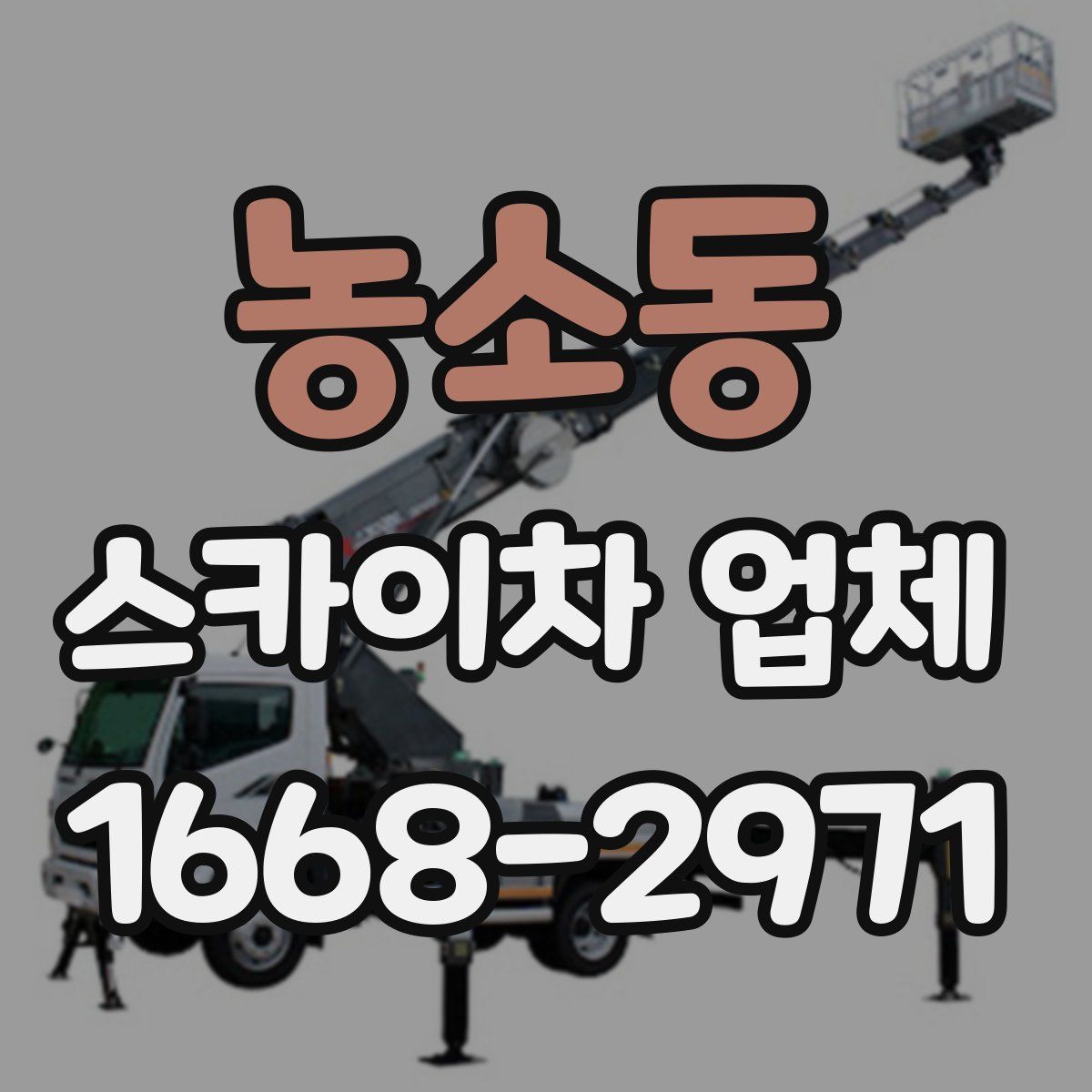 농소동 스카이차 업체