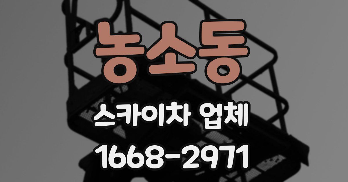 농소동 스카이차 업체