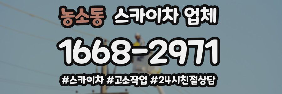 농소동 스카이차 업체