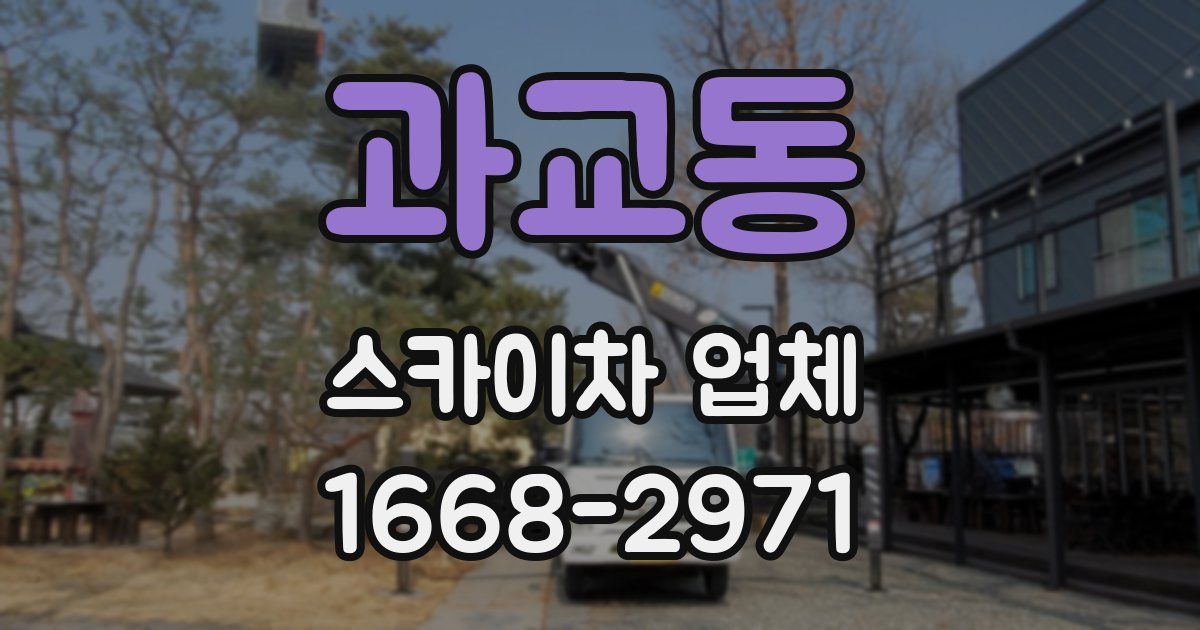 과교동 스카이차 업체