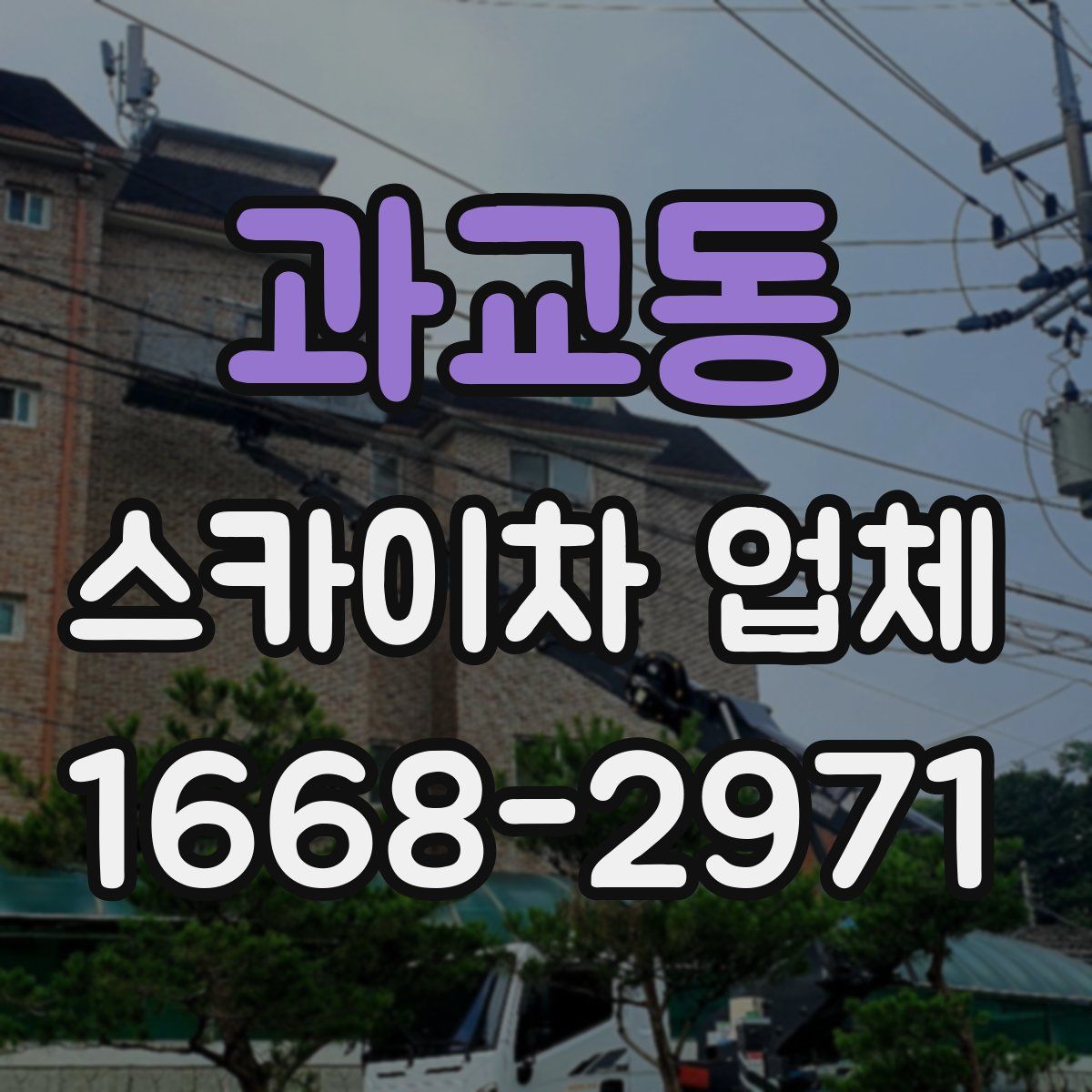 과교동 스카이차 업체