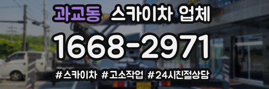 과교동 스카이차 업체