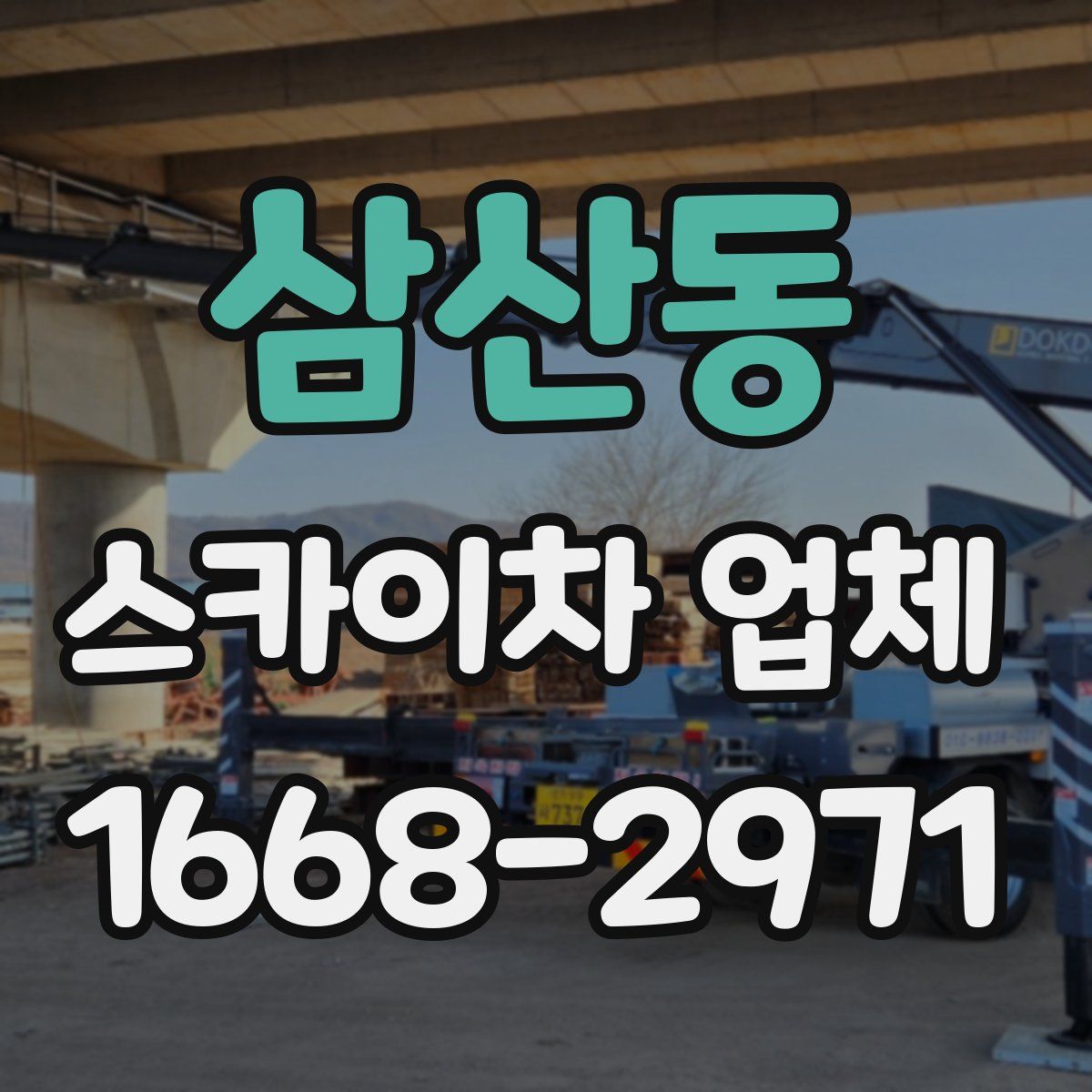삼산동 스카이차 업체