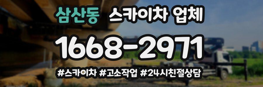 삼산동 스카이차 업체