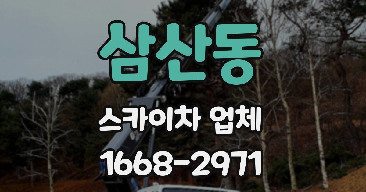 삼산동 스카이차 업체