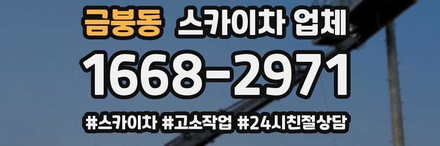 금붕동 스카이차 업체