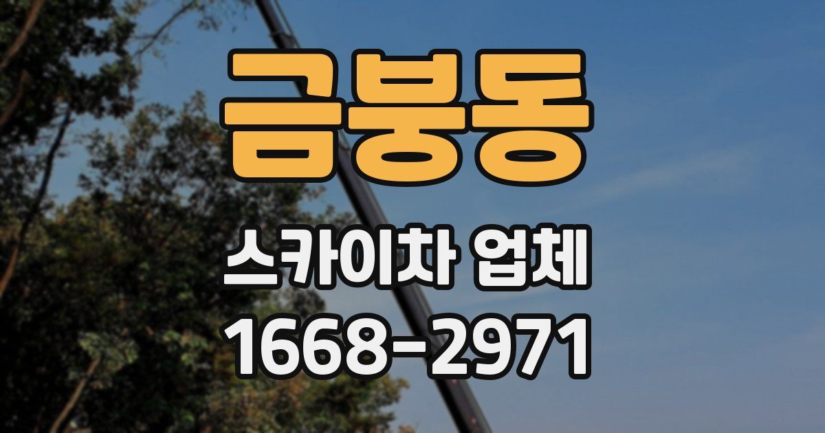 금붕동 스카이차 업체
