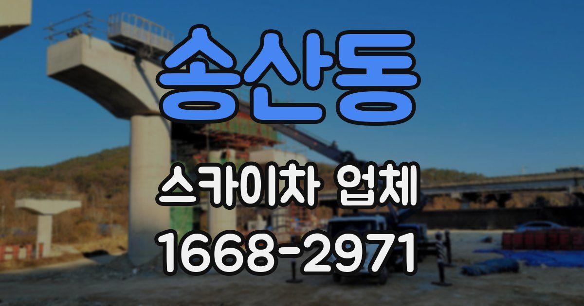 송산동 스카이차 업체