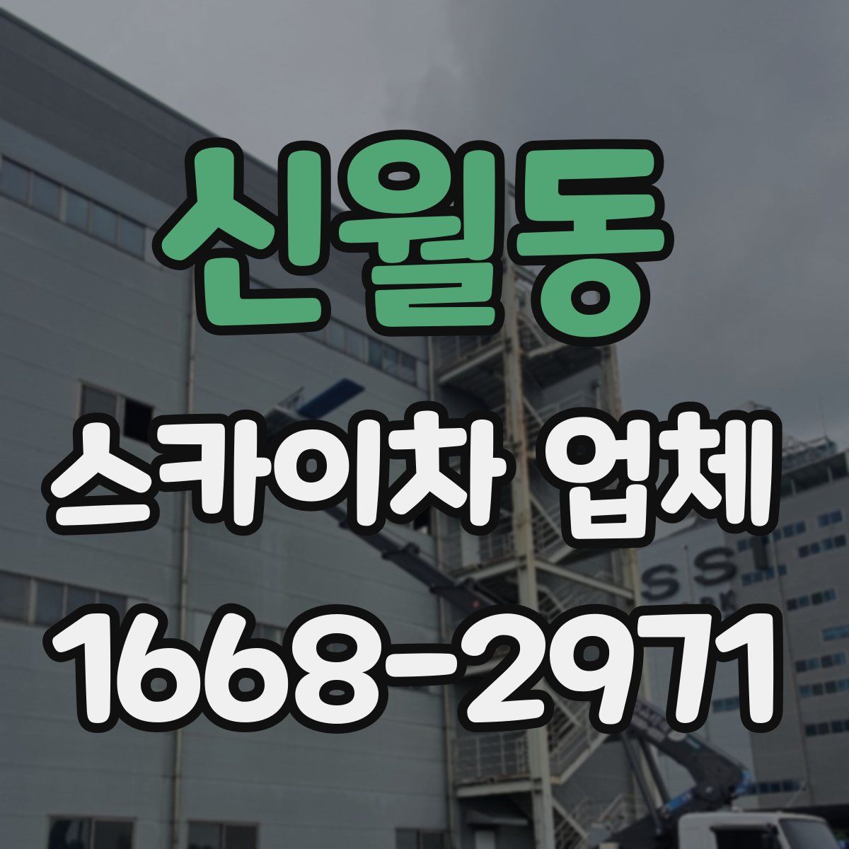 신월동 스카이차 업체