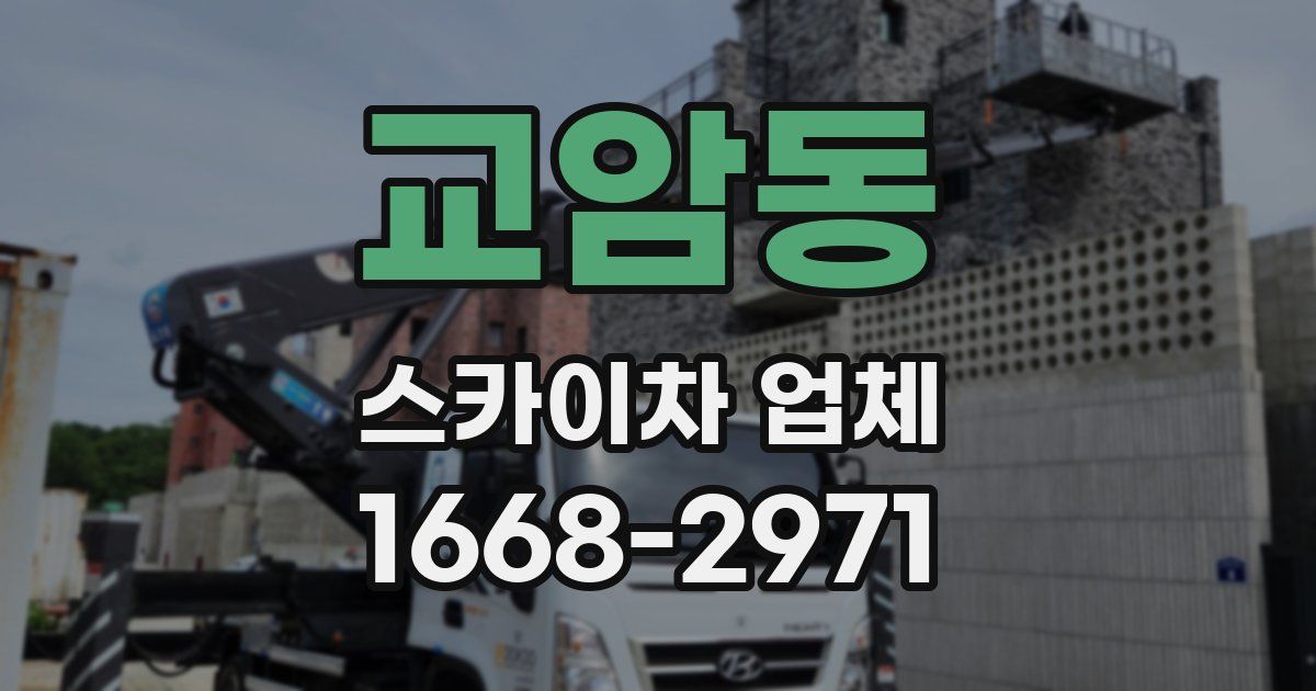 교암동 스카이차 업체