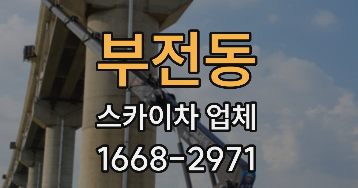 부전동 스카이차 업체