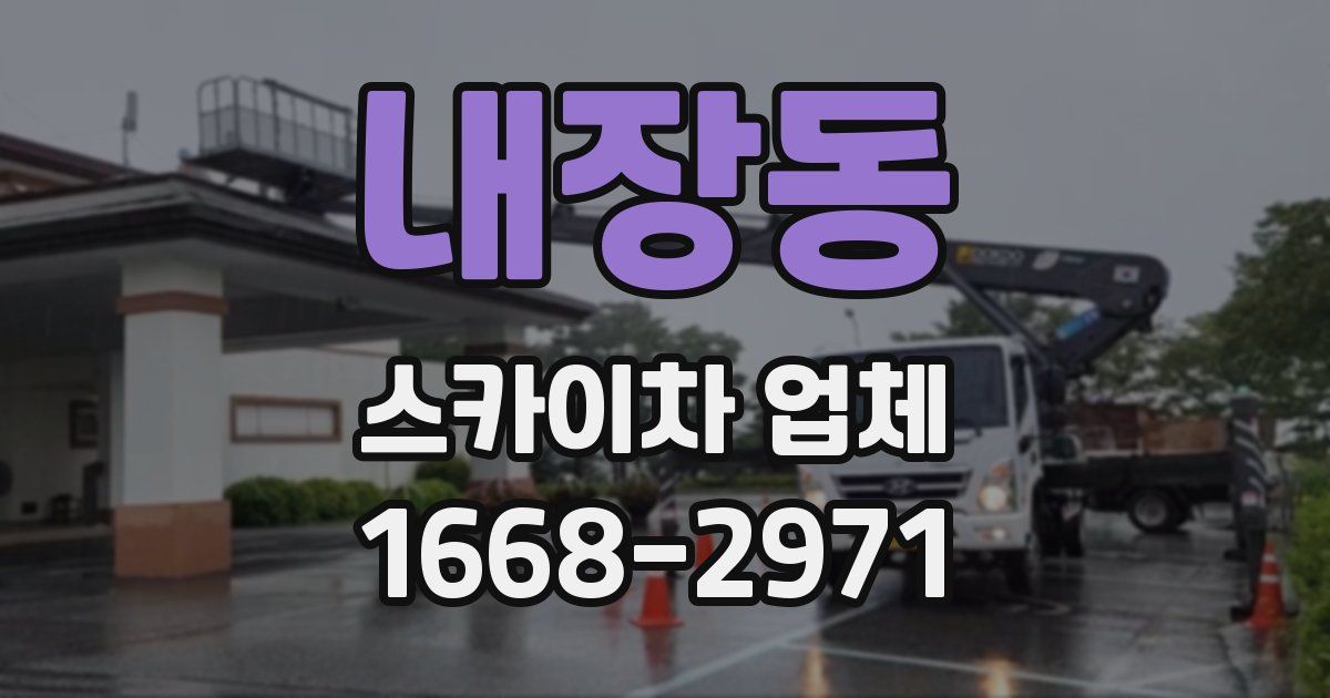 내장동 스카이차 업체