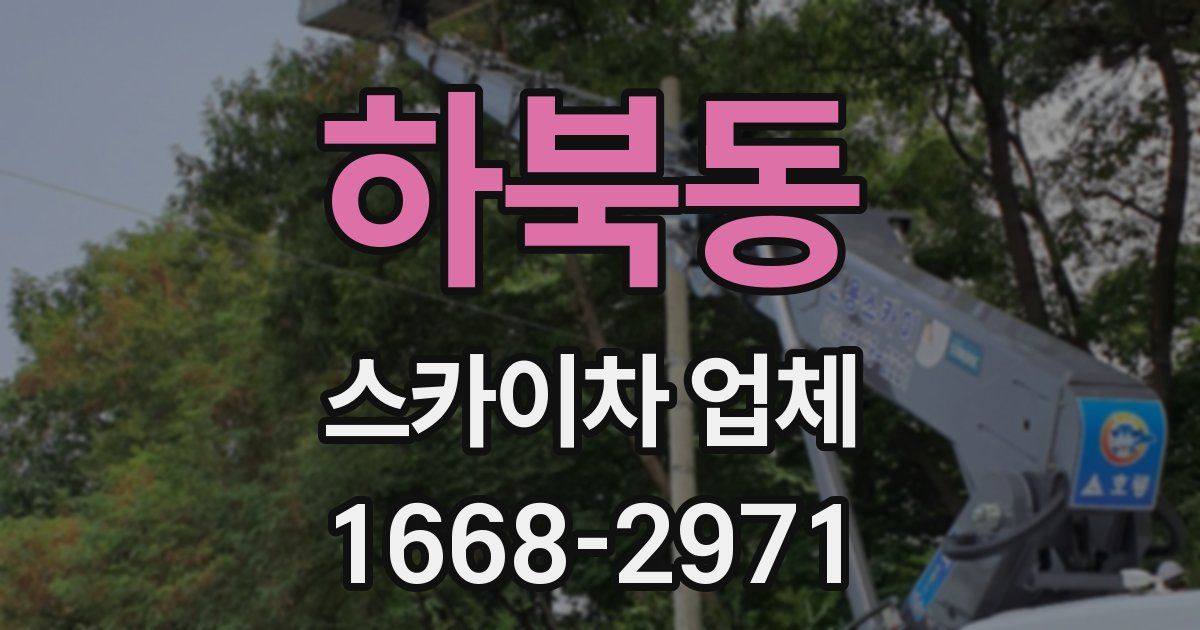 하북동 스카이차 업체