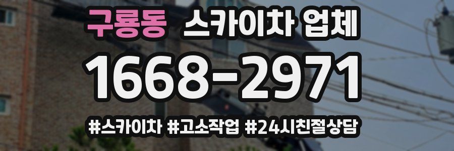 구룡동 스카이차 업체