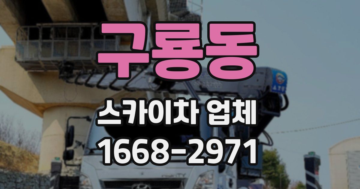 구룡동 스카이차 업체