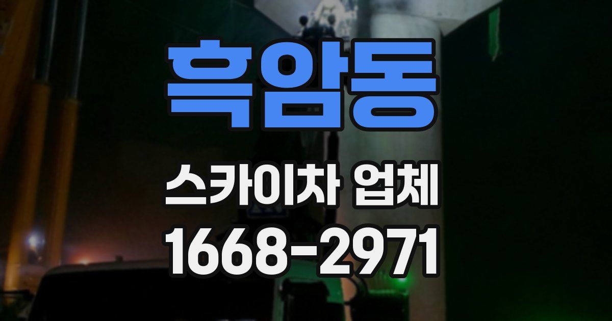 흑암동 스카이차 업체