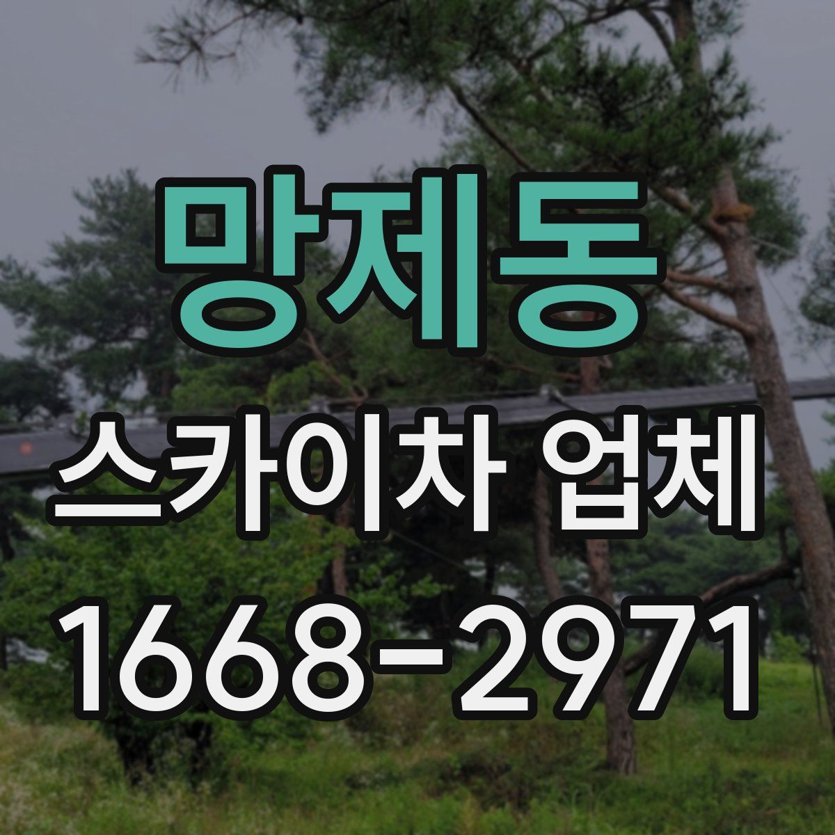 망제동 스카이차 업체