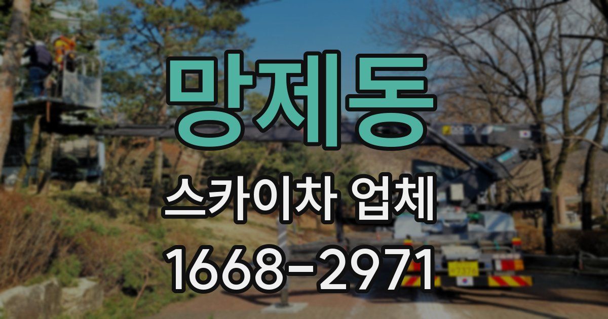 망제동 스카이차 업체