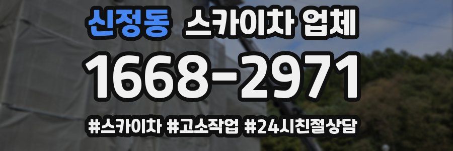 신정동 스카이차 업체